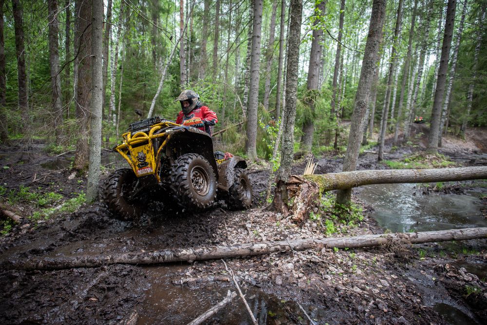 Photograph by Даркина Дарья