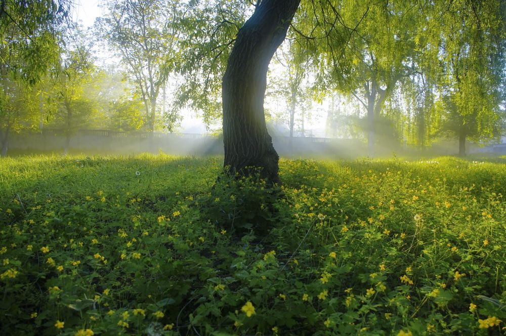 Photograph by Анатолий Святой