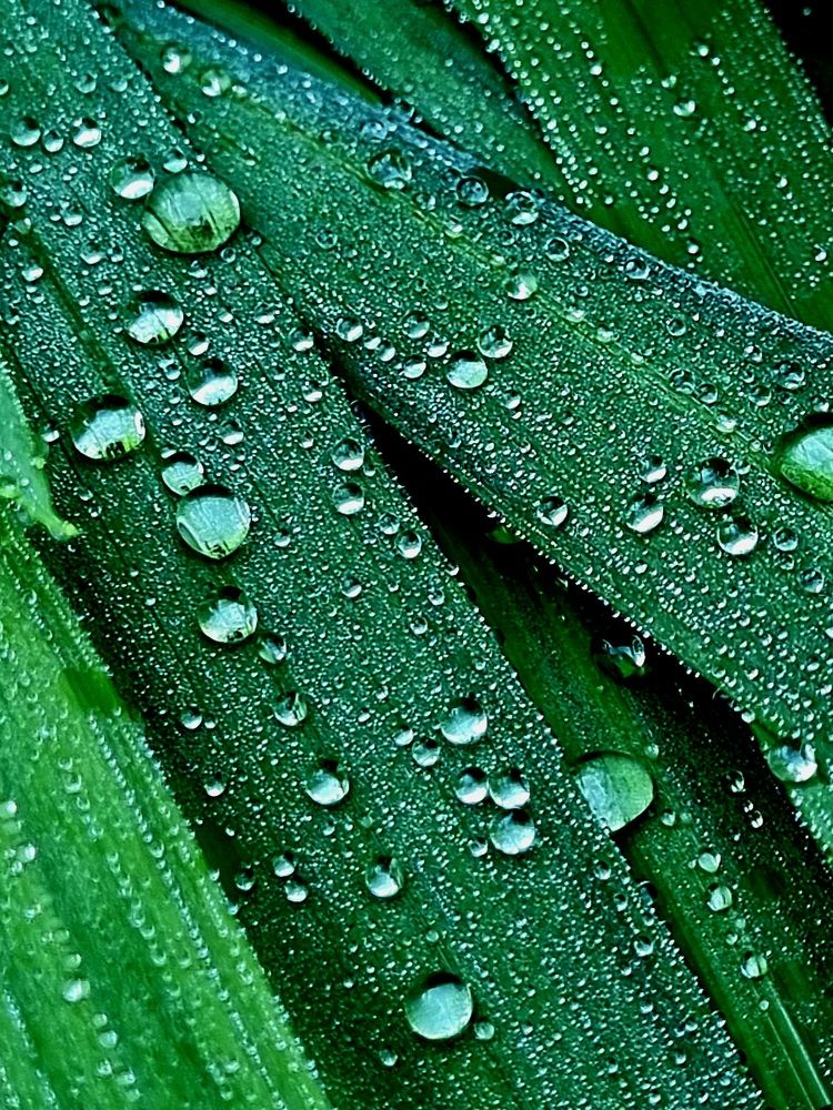 Photograph by Hanna Bourne