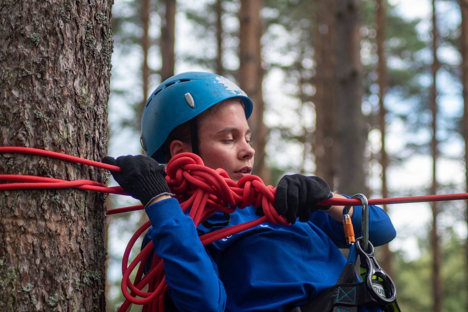 Photo #7961063