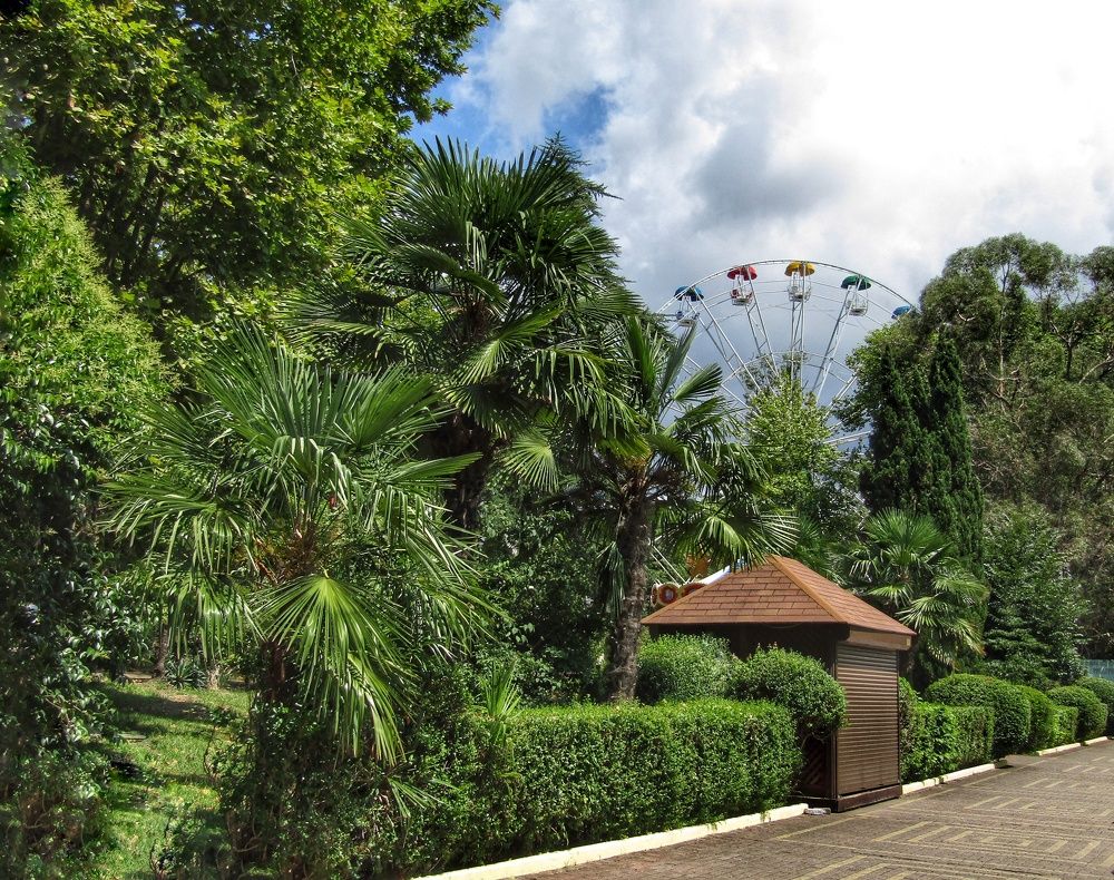 Photograph by Татьяна Сурова