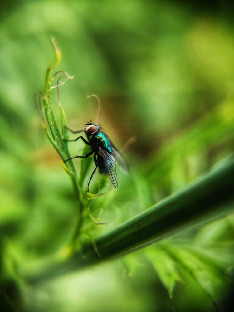 Photograph by Olga Royanova