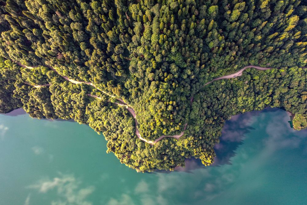 Фотография автора Дмитрий Храмцов