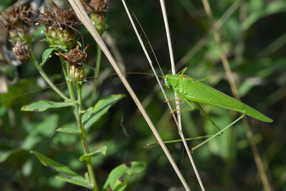 Photograph by Владимир Богданов
