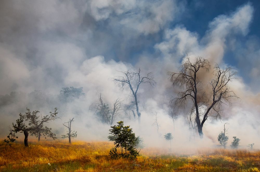 Photograph by Farshad Yazdankhah