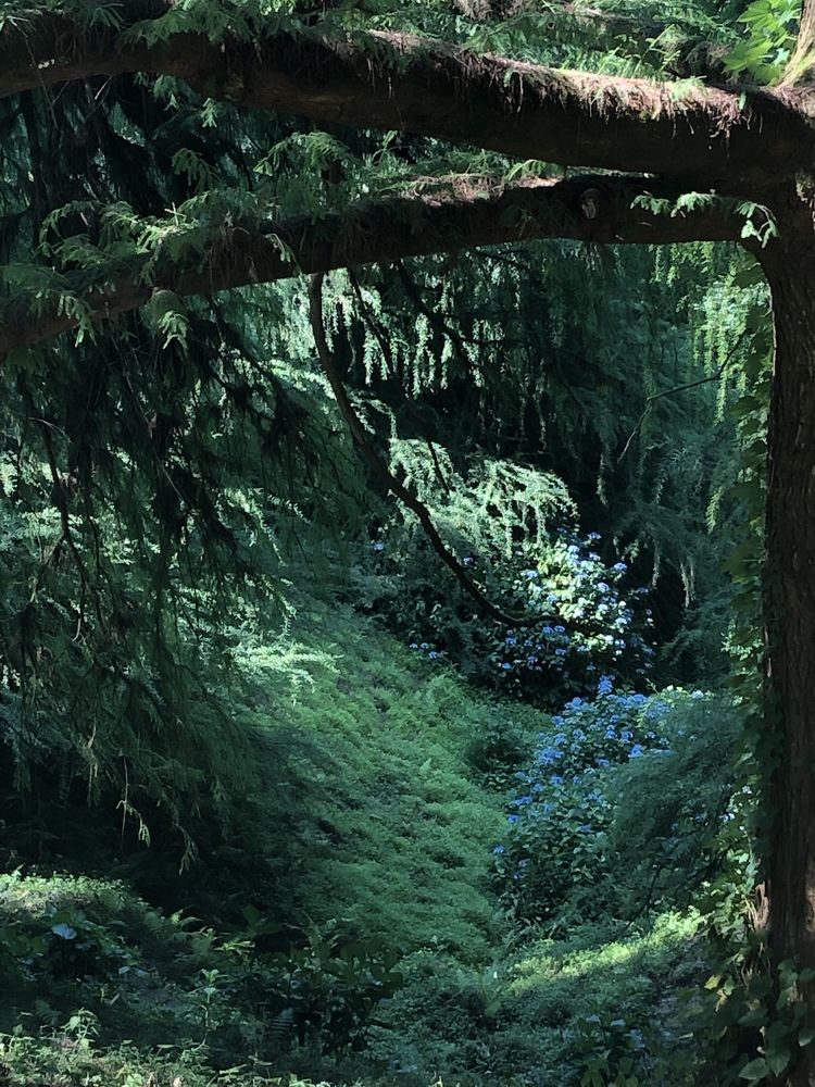 Photograph by Юлия