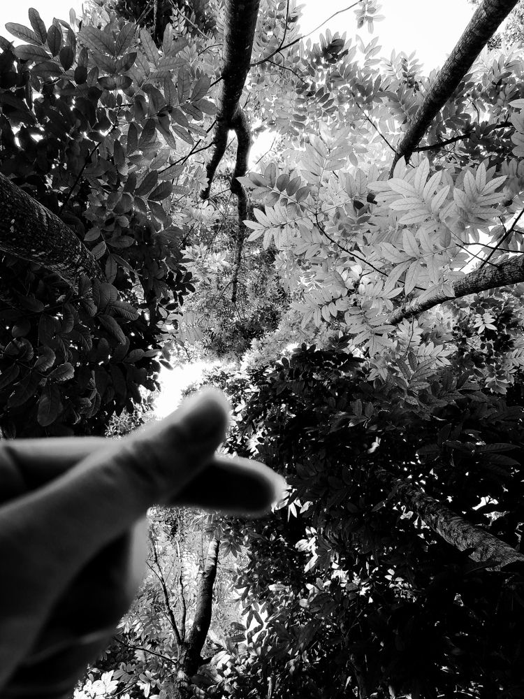 Photo #7961322