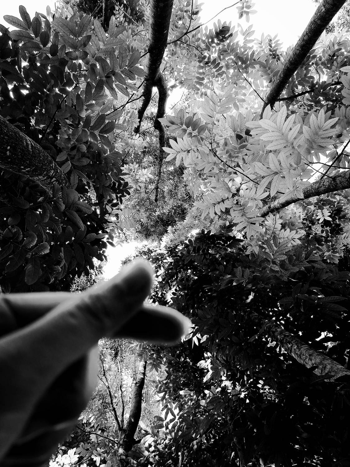 Photo #7961322