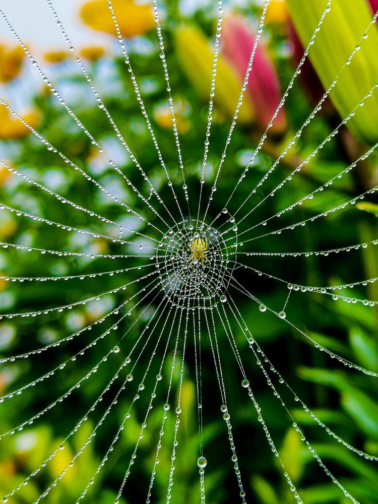 Photograph by Алёна Красова