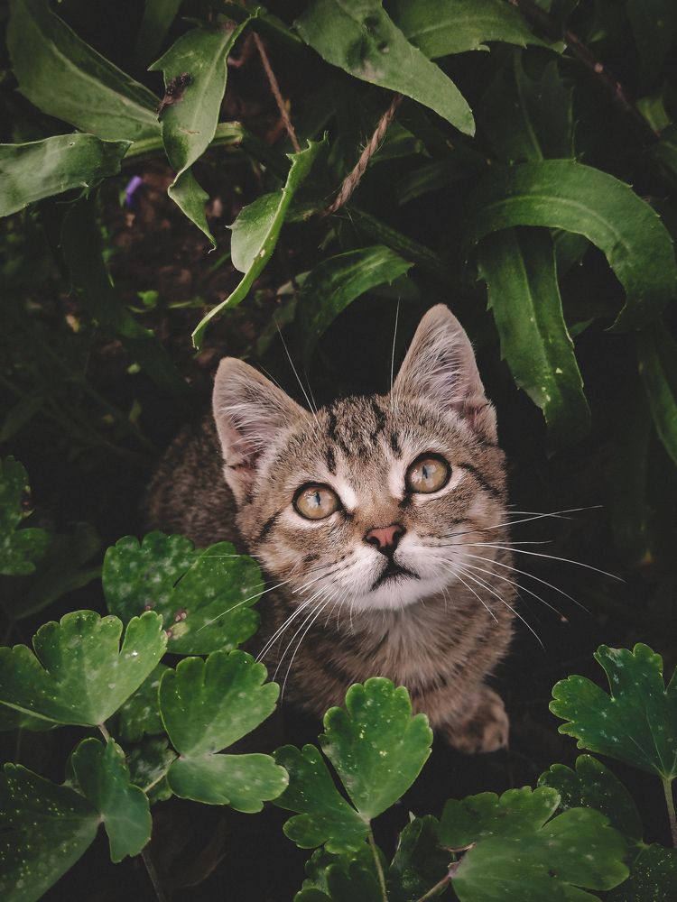 Photograph by Алёна Красова