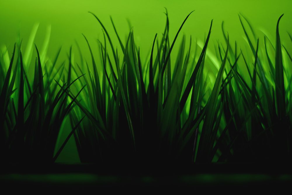 Photograph by Валерий Зенович