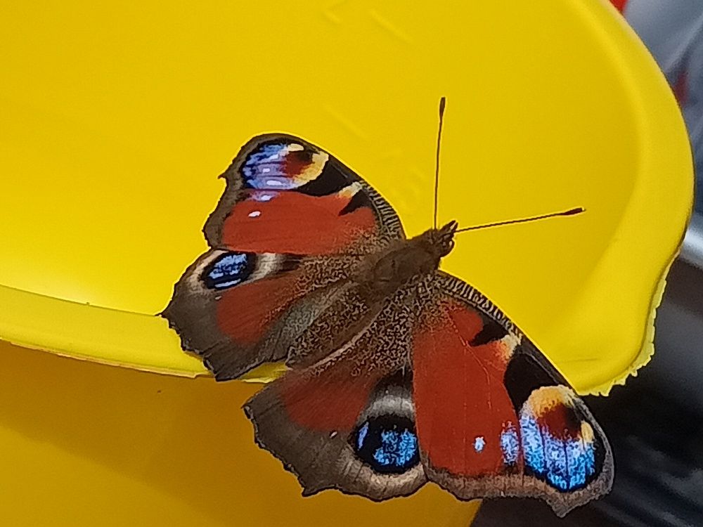 Photograph by Жанна Харкевич