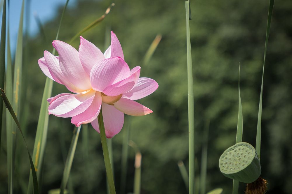 Photograph by Елена Кондратьева