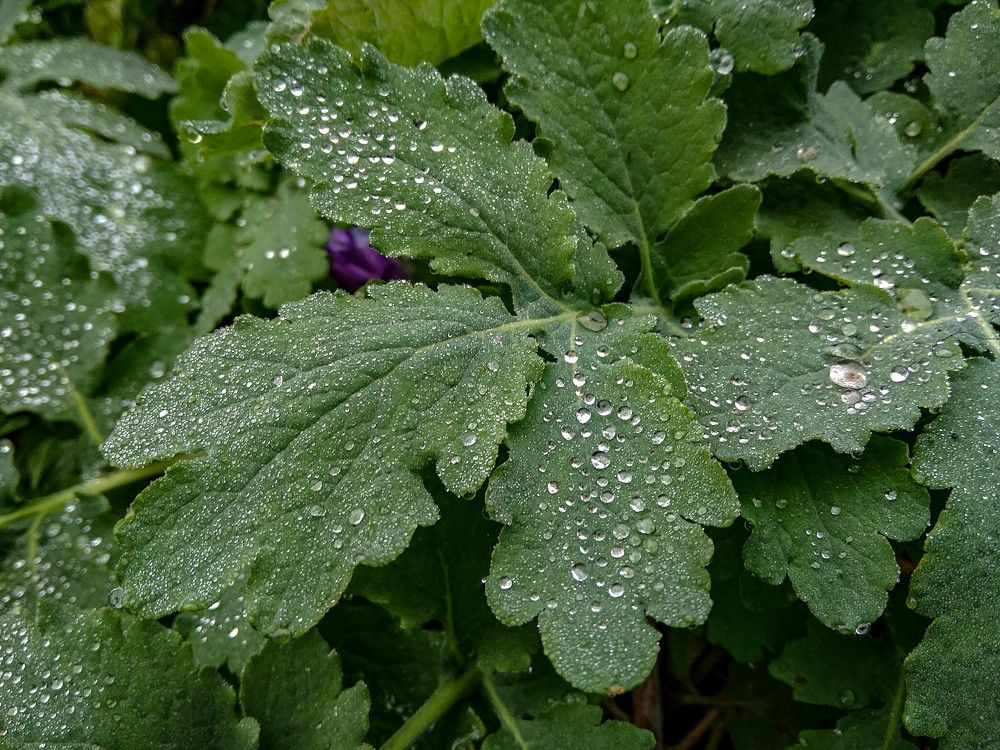 Photograph by Виталий Талисман