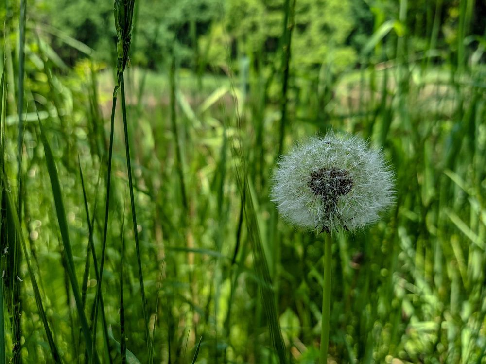 Photograph by Виталий Талисман