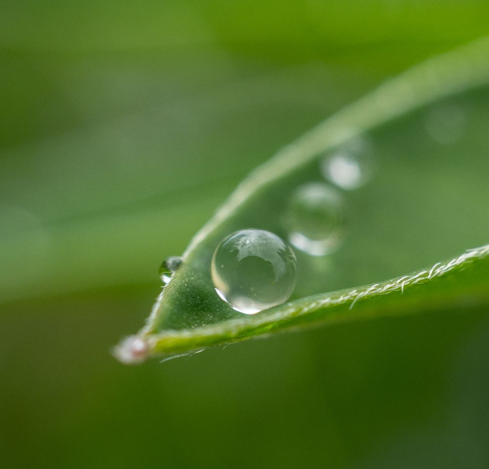 Photograph by Юрий Чернов