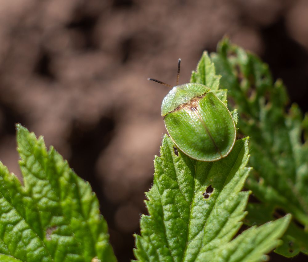 Photograph by Юрий Чернов