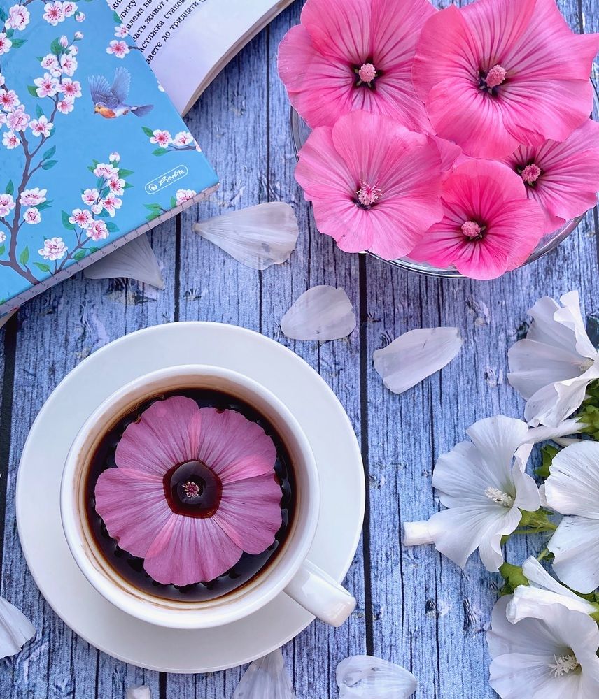 Photograph by Марина