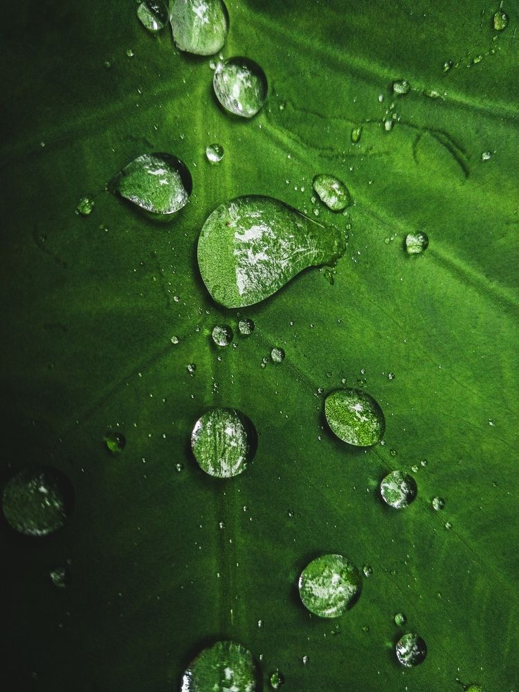 Photograph by lahiru sandaruwan