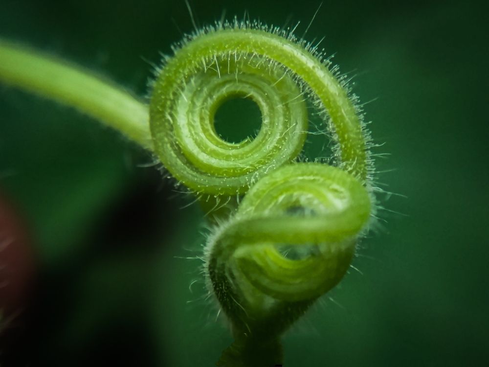 Photograph by lahiru sandaruwan