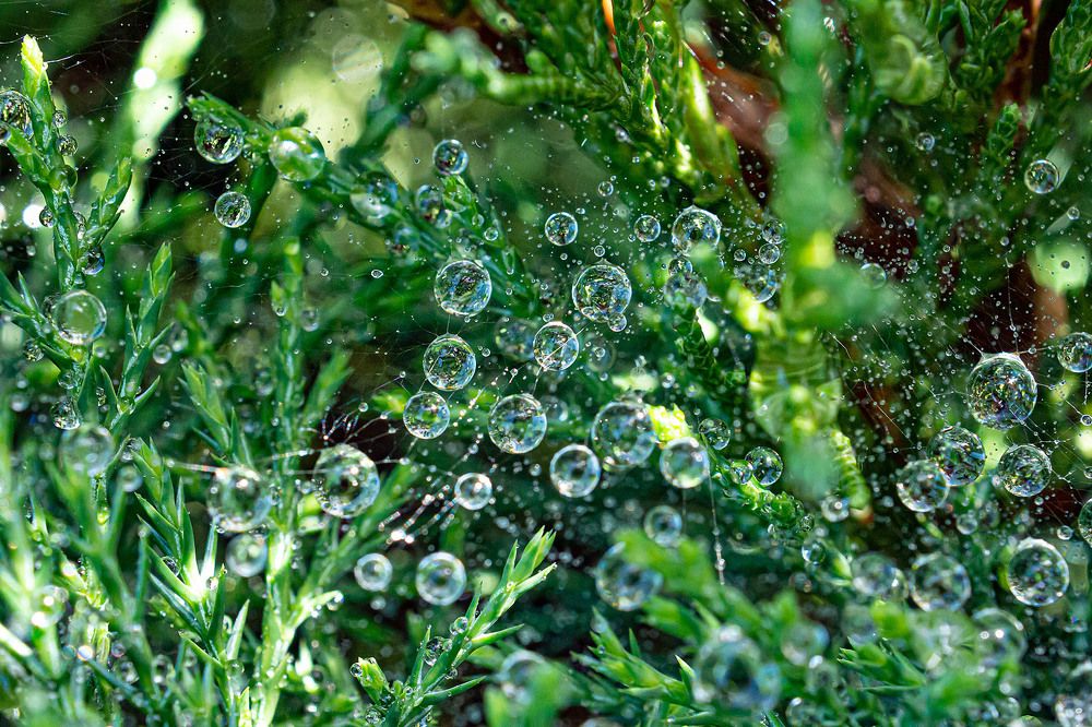 Photograph by Василий Губский