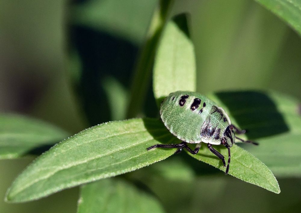 Photograph by Владимир Салапонов