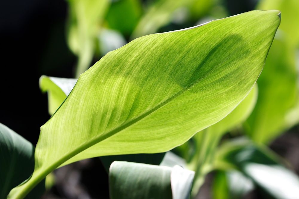 Photograph by Владимир Салапонов