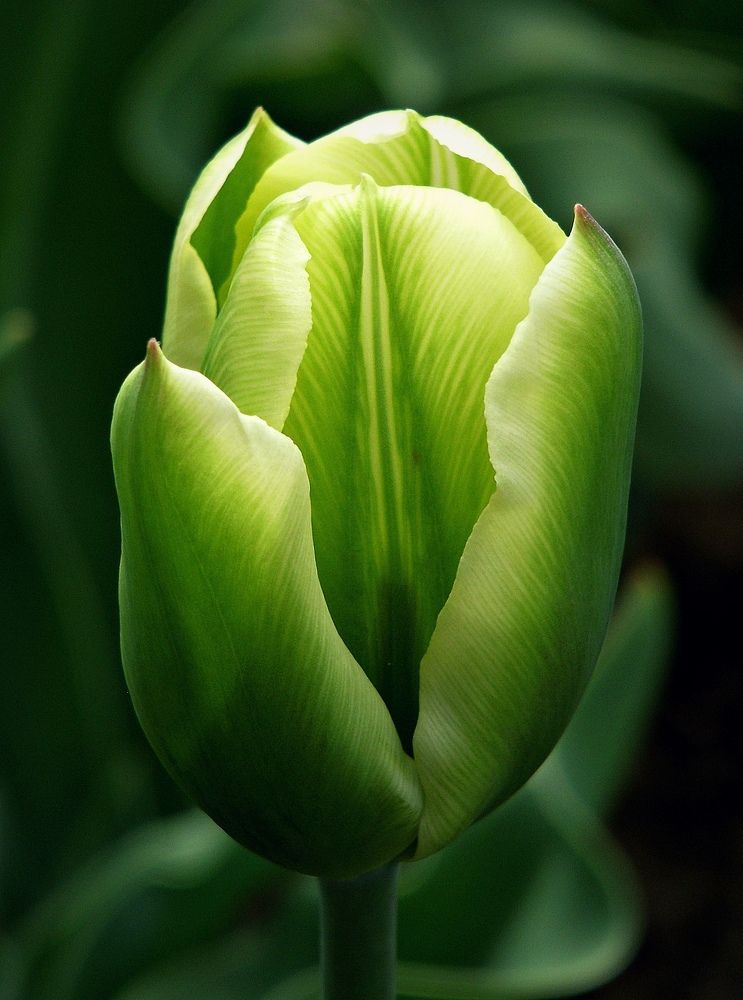 Photograph by Владимир Салапонов