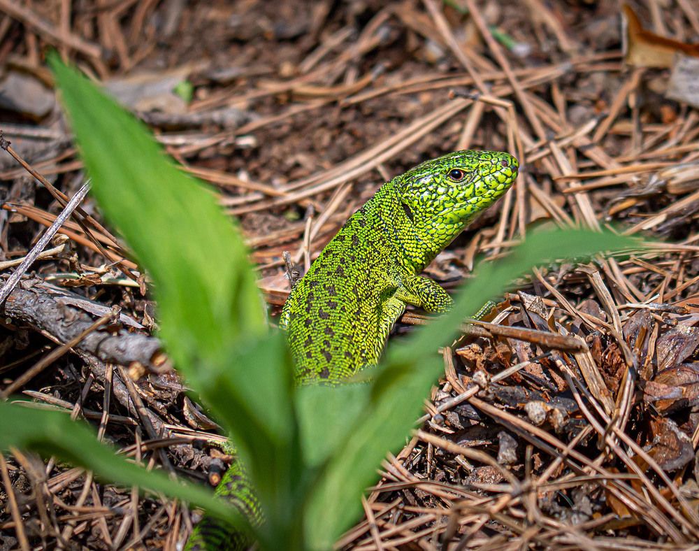 Photograph by Василий Губский