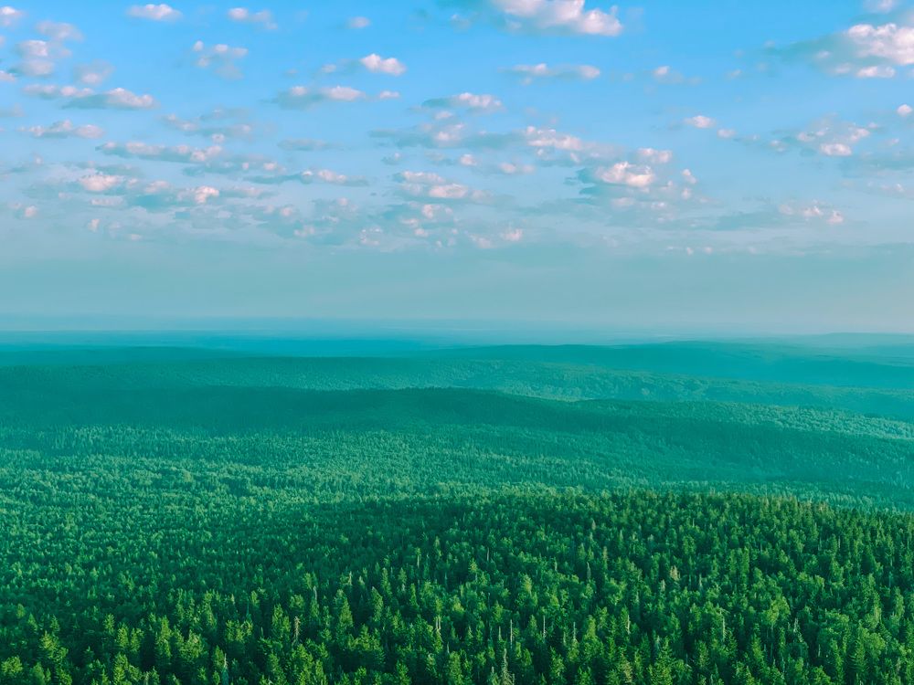 Photograph by Alice Vikernes