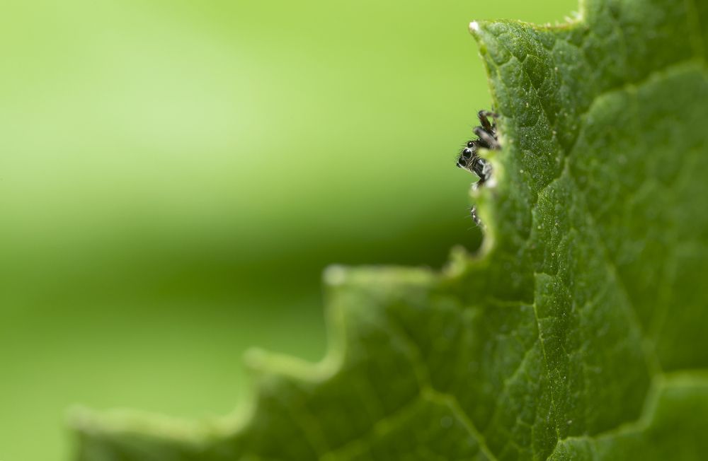 Photograph by Людмила Гудина