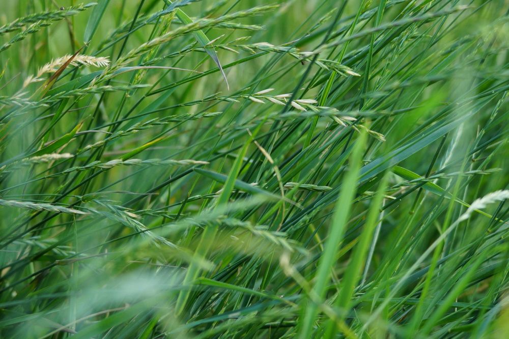 Photograph by Андрей Елькин