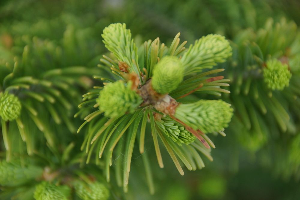 Photograph by Андрей Елькин