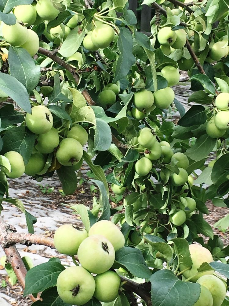 Photograph by Андрей Елькин