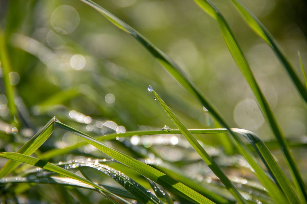 Photograph by Оксана Сизых