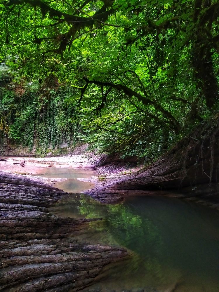 Photograph by Надежда Иголкина