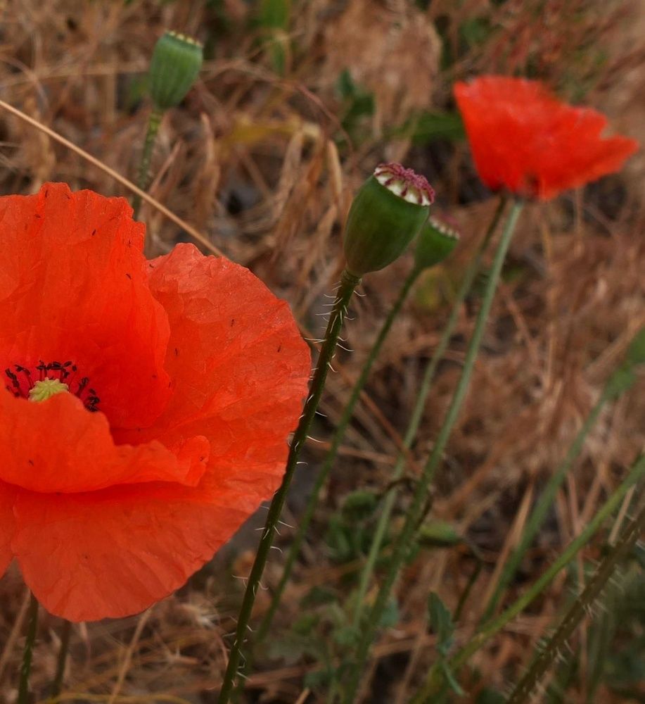 Photograph by Анна Матецкая