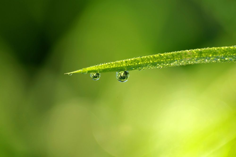 Фотография автора Антип