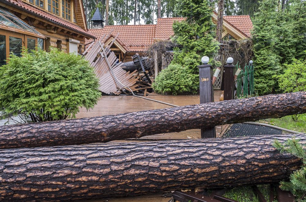 Photograph by Ольга Дядченко