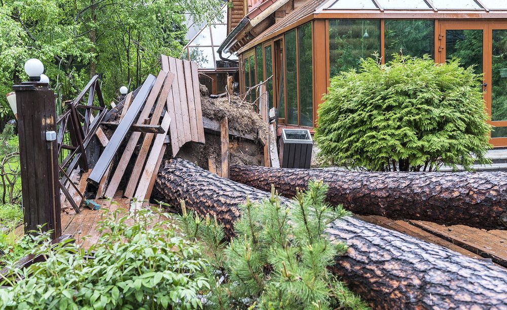 Photograph by Ольга Дядченко