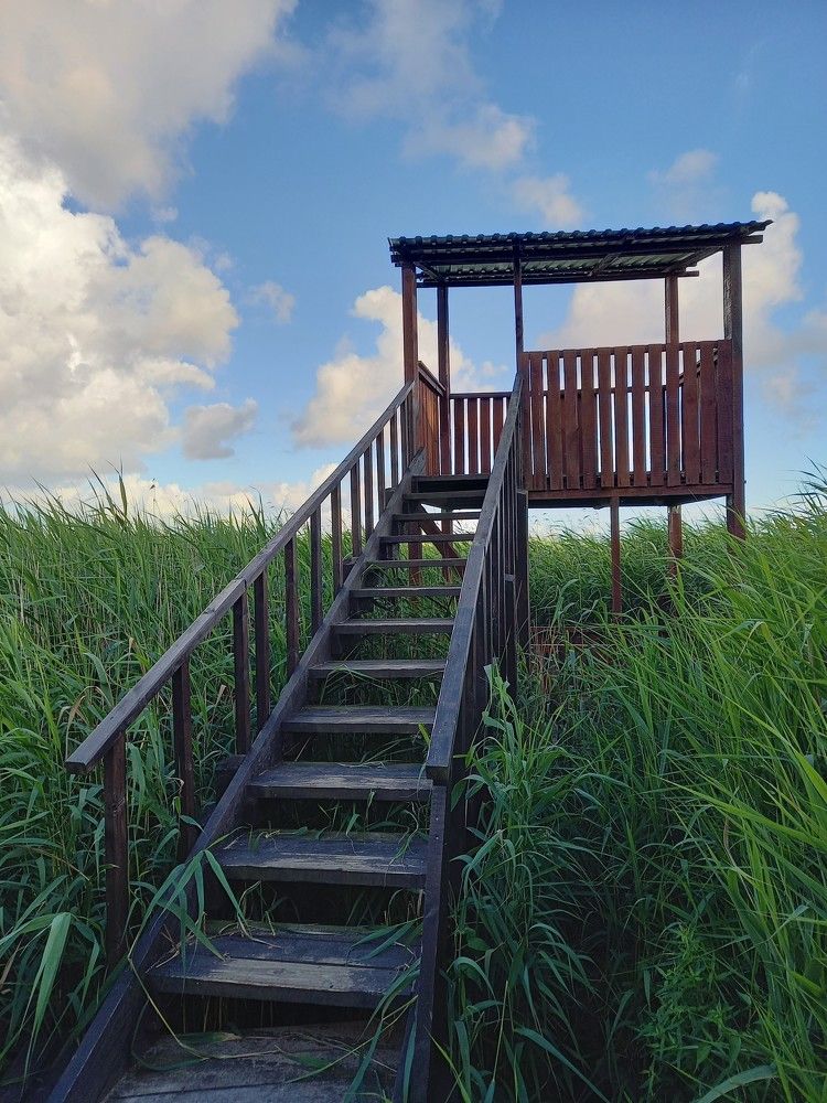 Photograph by Viktoria Vavilkina