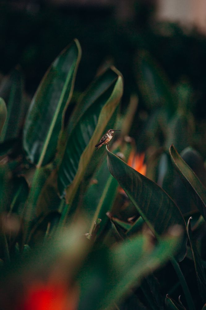 Photograph by Sunny Night