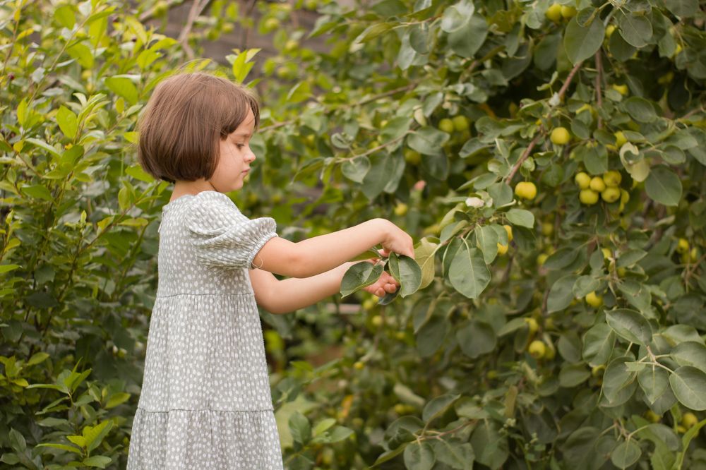 Photograph by Валерия Бойко