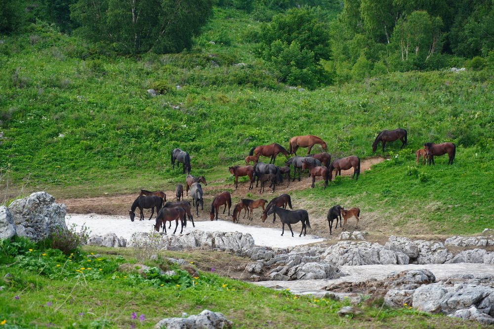 Фотография автора Вадим Коваленко
