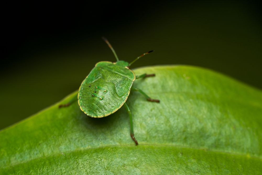 Photograph by Александр Плисик