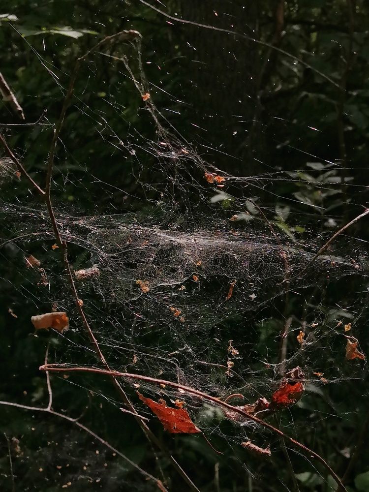 Photograph by Екатерина Чижевская