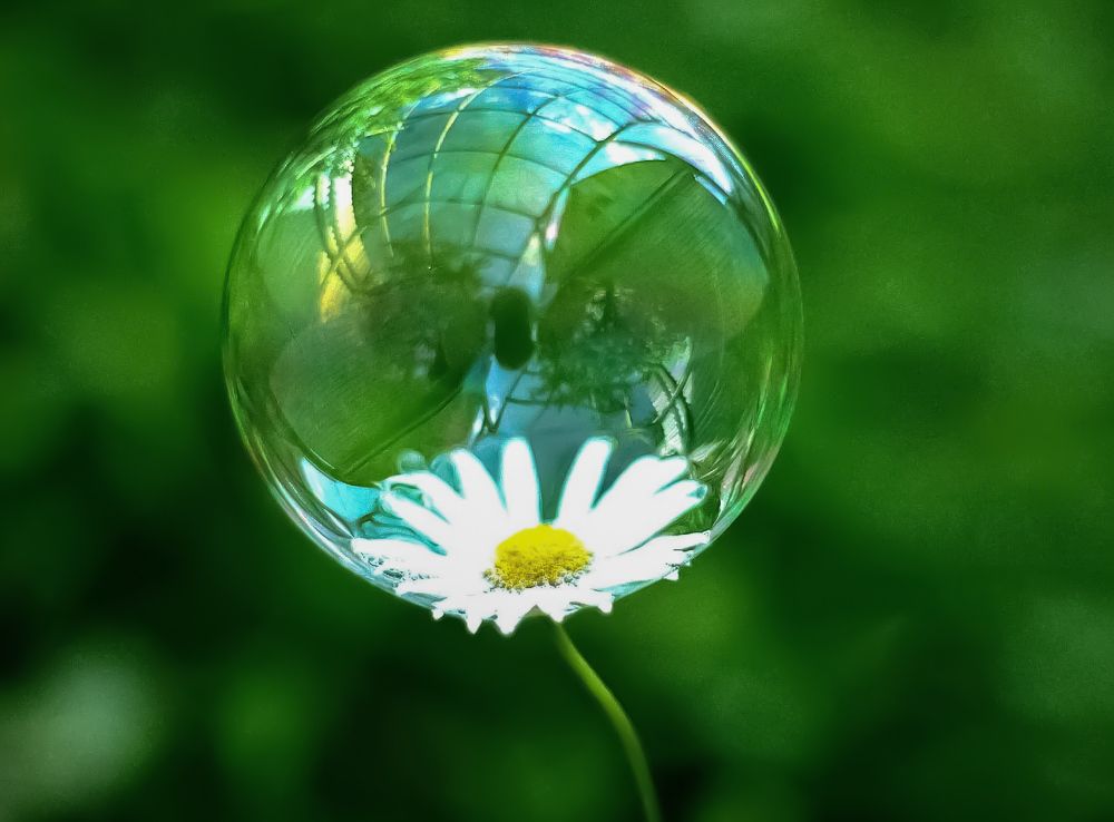 Фотография автора Татьяна Александровна Терехова