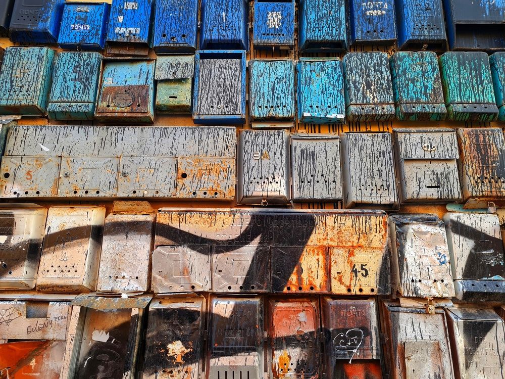 Фотография автора Алла Шикина