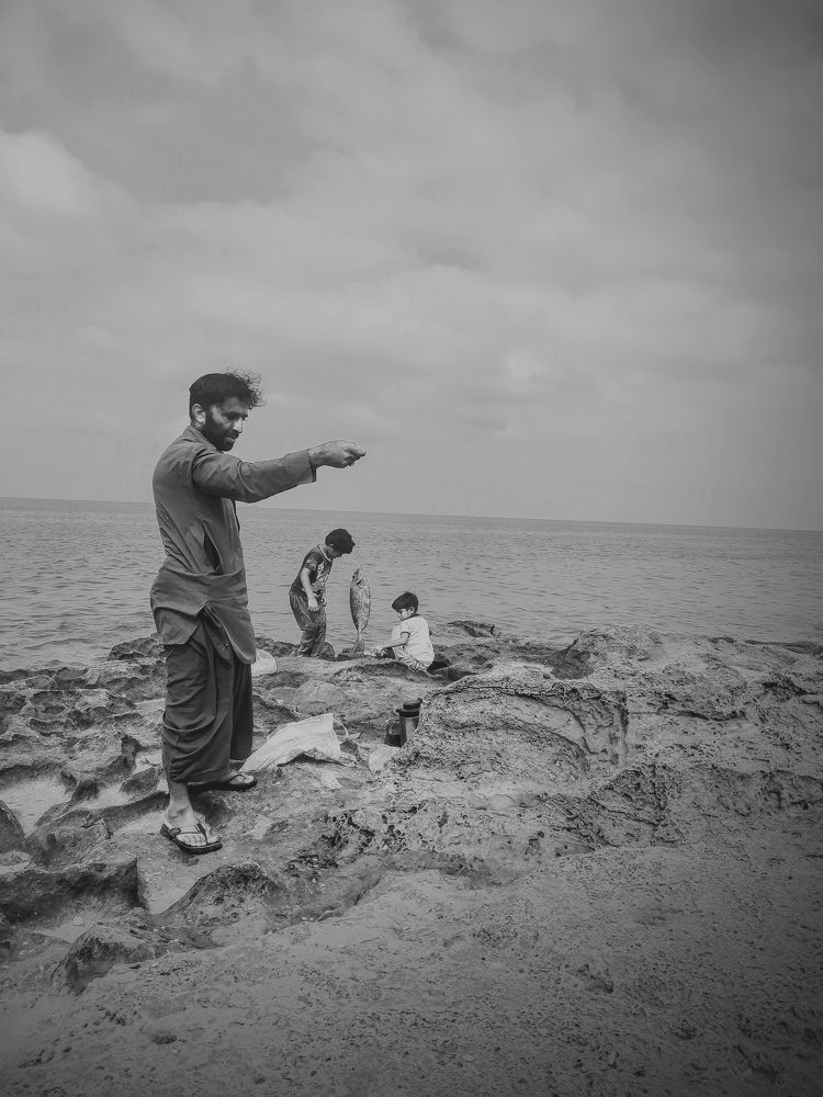 Photo #7962033