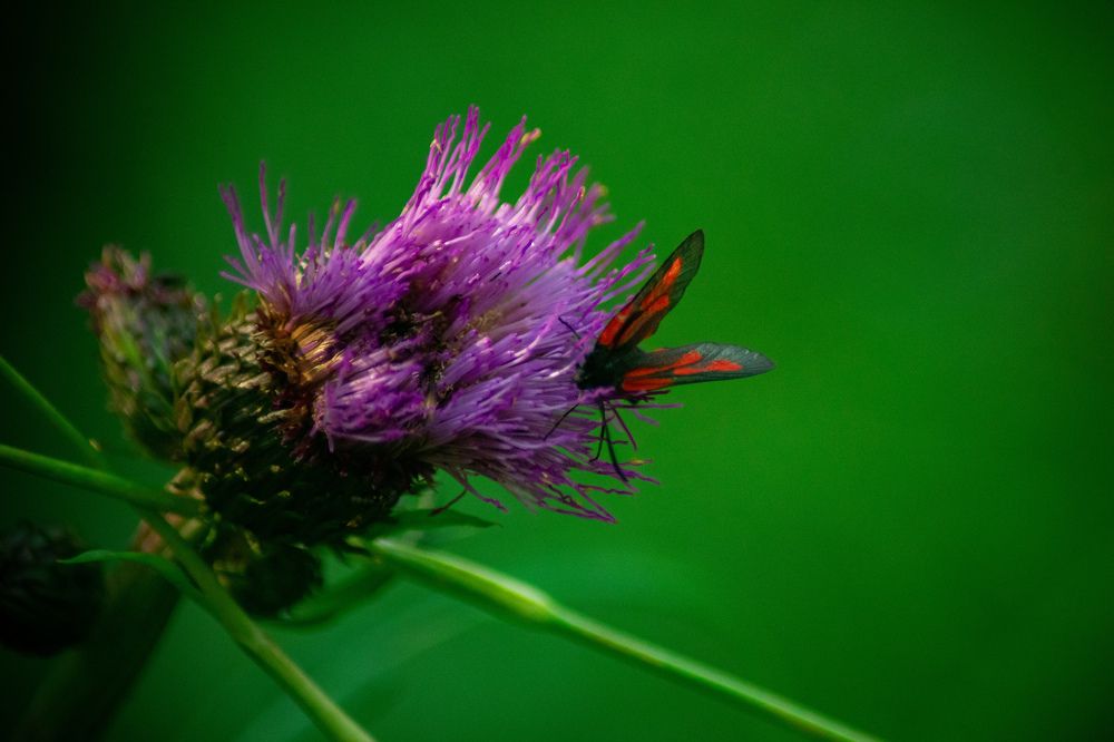 Photograph by Екатерина Абросова